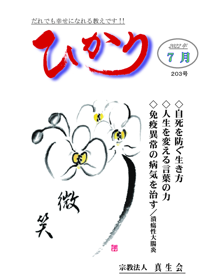 thumbnail of hikari203