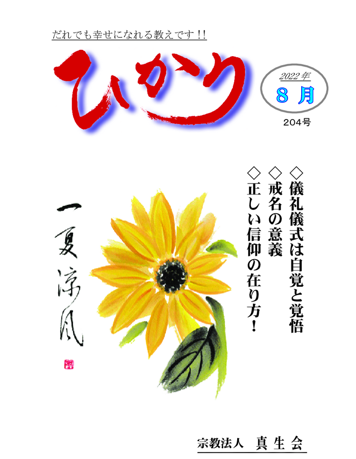 thumbnail of hikari204