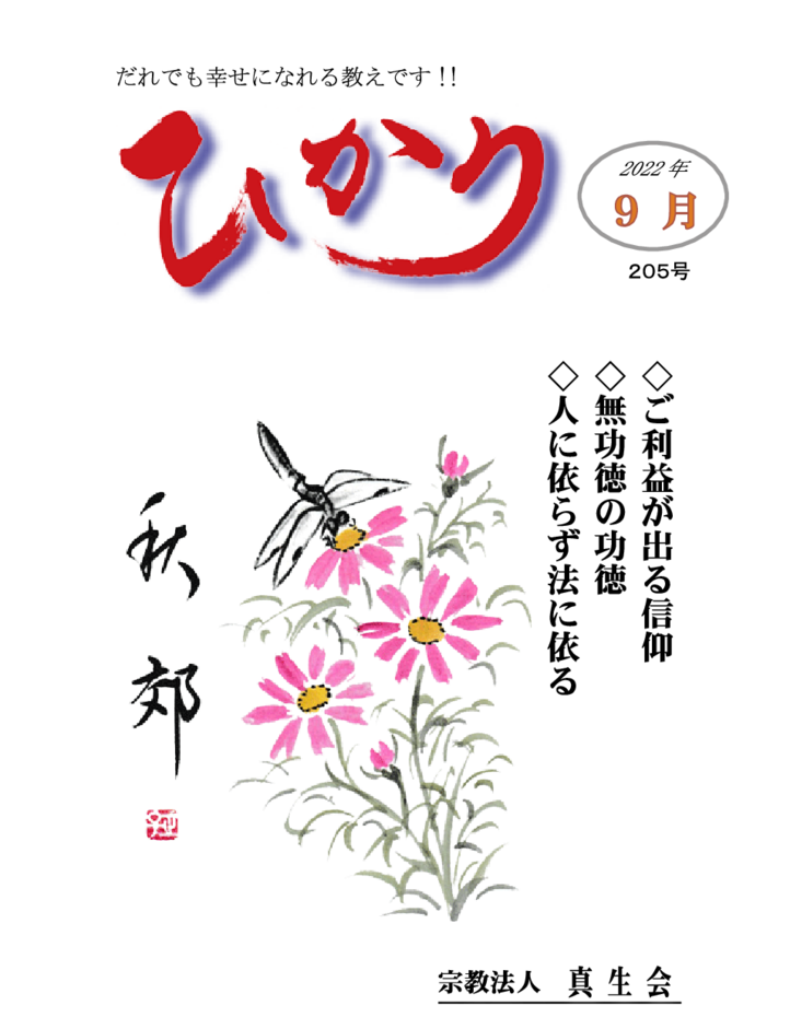 thumbnail of hikari205
