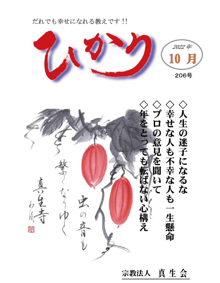 thumbnail of hikari206