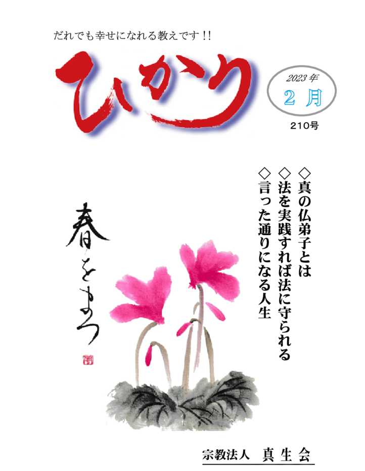 thumbnail of hikari210