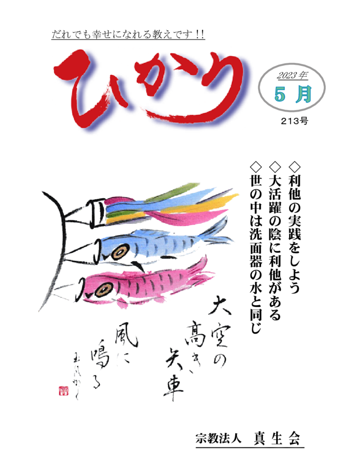 thumbnail of hikari213