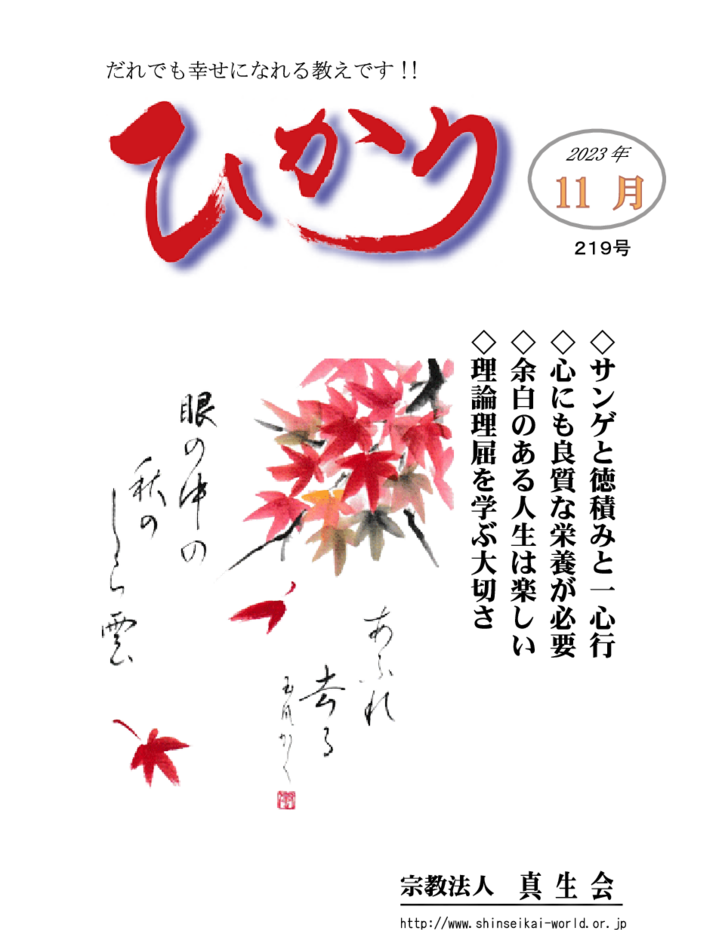 thumbnail of hikari219