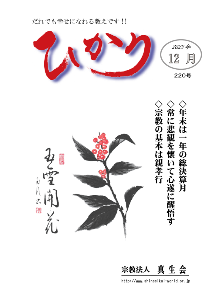 thumbnail of hikari220