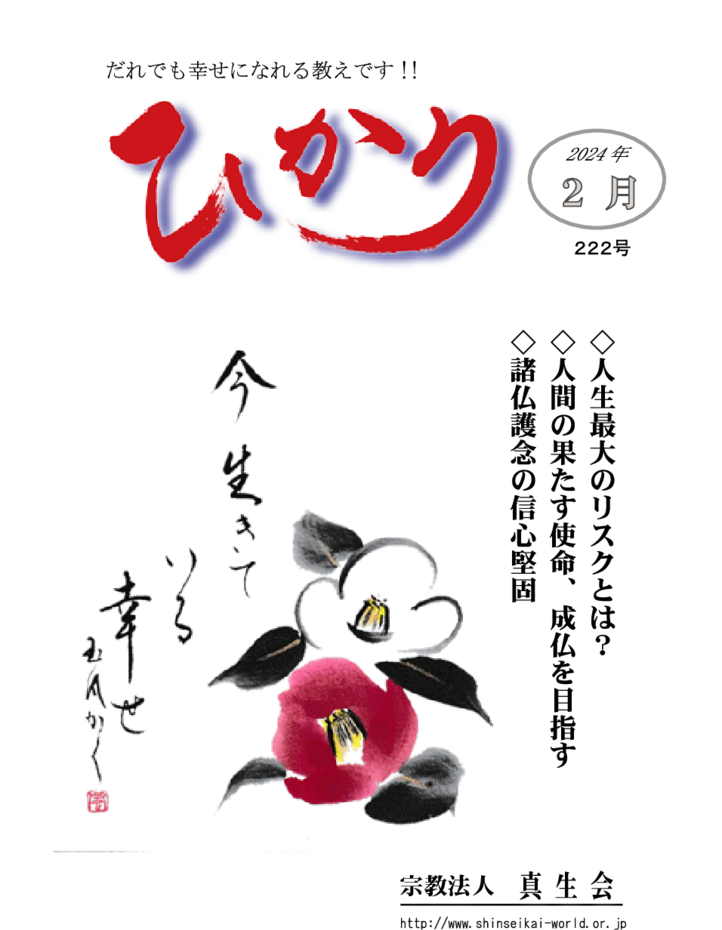 thumbnail of hikari222