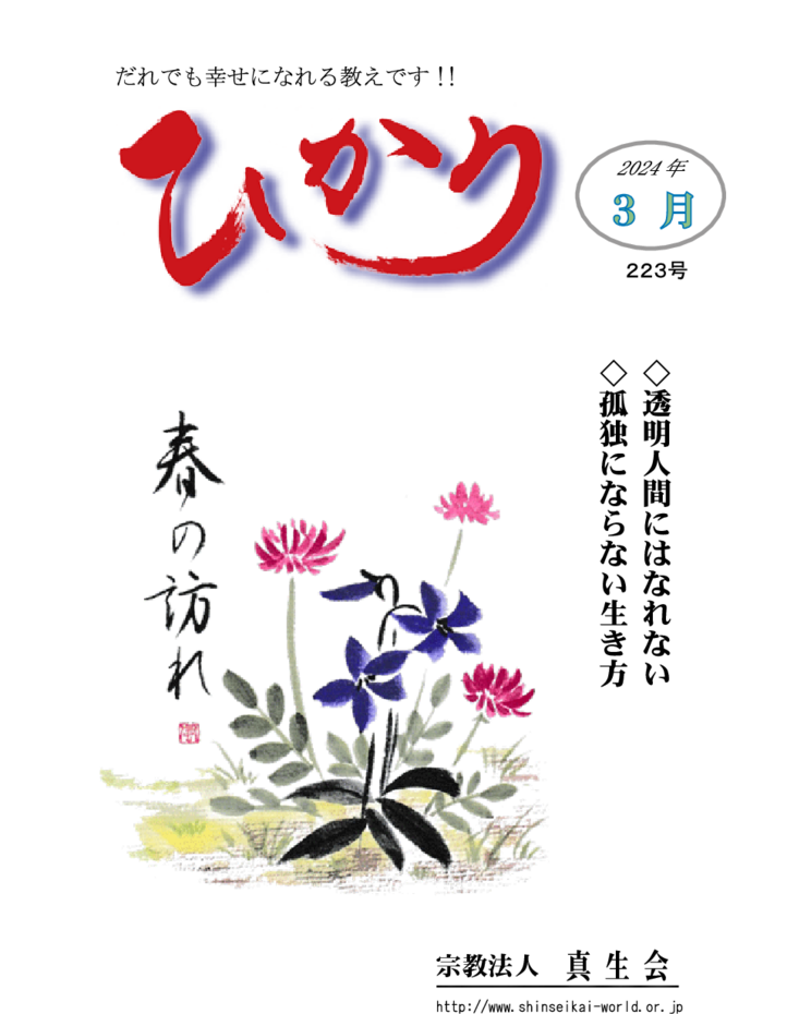 thumbnail of hikari223