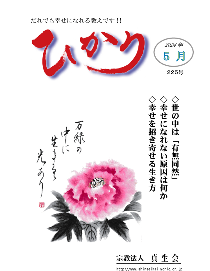 thumbnail of hikari225