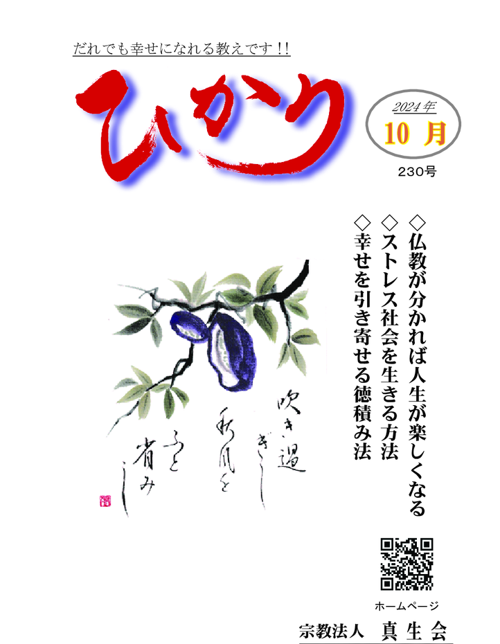 hikari230のサムネイル
